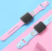 (image for) Apple Snap Jewelry Watch Bands
