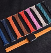 (image for) Apple Magnetic Leather Bands