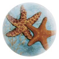 (image for) Snap Jewelry Enamel Ceramic ? Starfish in Ocean