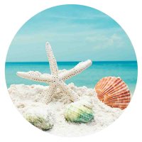 (image for) Snap Jewelry Enamel Ceramic - Starfish & Shell on the Beach