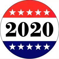 (image for) Snap Jewelry Enamel - 2020 Election Vote