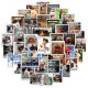 (image for) Animal Caption Stickers Pet Lover Non Repeating Decals 50pcs