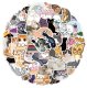 (image for) Kitten Cat Stickers Pet Lover Feline Non Repeating 50pcs