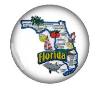 (image for) Snap Glass Jewelry - Florida Map