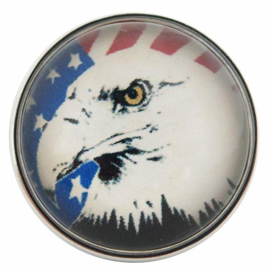 (image for) Snap Glass Jewelry - USA Eagle - Click Image to Close