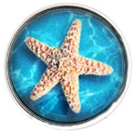 (image for) Snap Glass Jewelry Star Fish