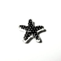 (image for) Memory Locket Charms Star Fish Silver & Black