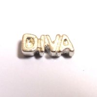 (image for) Memory Locket Charms Diva