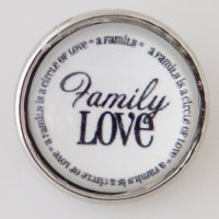 (image for) Snap Jewelry Glass - Family Love
