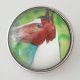 (image for) Snap Jewelry Glass - Animal Horse