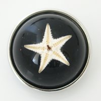 (image for) Snap Jewelry Glass Dome - Starfish Black Sparkle