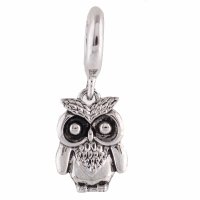 (image for) End Less Rhinestone Charms Drop - Owl
