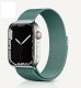 (image for) Pine Needle Green Apple Magnetic Milanese Compatible with Apple Watch Bands 38mm 40mm 41mm