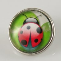 (image for) Snap Jewelry Photo - Animal - Ladybug