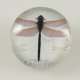 (image for) Snap Jewelry Photo - Animal - Dragonfly