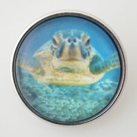 (image for) Snap Jewelry Glass - Turtle Swimming