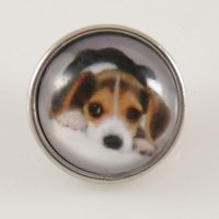 (image for) Snap Jewelry Photo - Animal - Dog Beagle