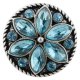 (image for) Snap Jewelry Rhinestone Flower Light Blue