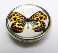 (image for) Snap Jewelry Photo - Animal - Butterfly