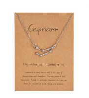 (image for) Silver Plated Constellation Crystal Zodiac Necklace - Capricorn