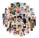 (image for) Beyounce Singer Decal Stickers Non Repeating Characters 50 pcs