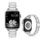 (image for) Silver Apple Rhinestone Stainless Bands 38mm 40mm 41mm