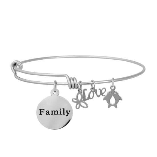 (image for) Expandable Wire Bangle - Round Family Charm 60mm Medium - Click Image to Close